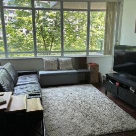 The Treehouse Downtown Toronto Condo!