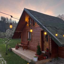 EscapeTinyCabin by IezerVenture, ξενοδοχείο σε Lereşti
