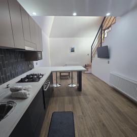 Palguin pad loft # 1, hôtel à Pucón