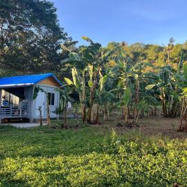 JB Homestay