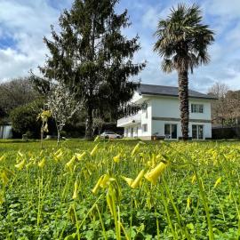 The Eira - Spacious duplex with lush garden