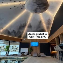 Rodnei Retreat & Spa, hotel din Borşa