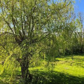 Sorayas Welt, hotel a Neufeld