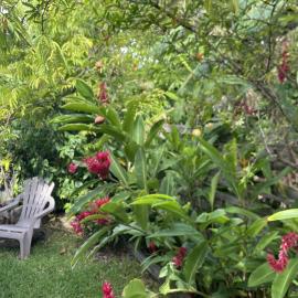 Bungalow de Charme, hotel i Saint-Louis