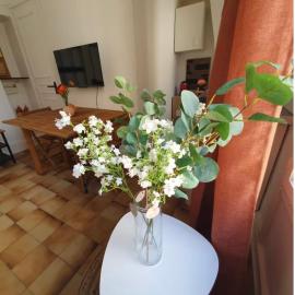 T 2 cosy 1 minute de la gare, hotel in Villemomble