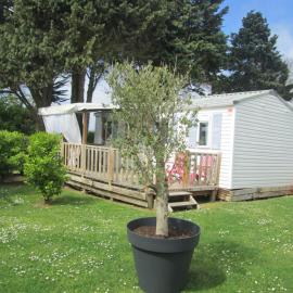 location de mobil home a la semaine du samedi au samedi