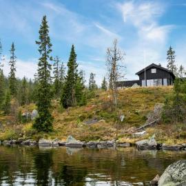 Exclusive wilderness stay with private shoreline, Hotel in Hedalen