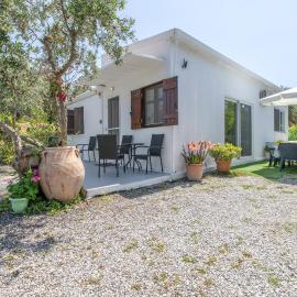 Stella's Olive Tree House