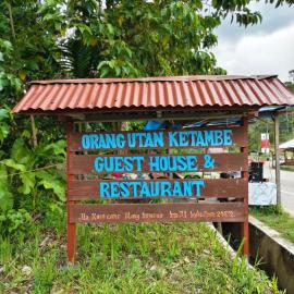 Orangutan Ketambe Guesthouse & Restaurant, hotel in Lhokuenam