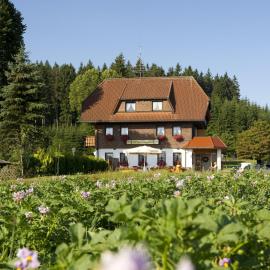 Gasthaus Schweizerhof, hotel in Titisee-Neustadt
