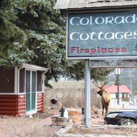 Colorado Cottages, hotel in Estes Park