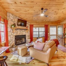 Private Hot Tub! Book-Lovers' Blue Ridge Retreat