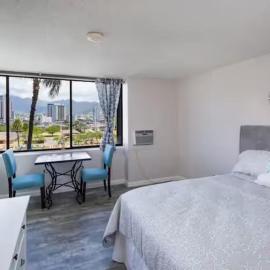 Hawaiian Monarch Upgraded Modern Studio