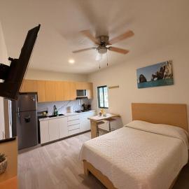 Boutique Studio in SJC, hotell i San José del Cabo