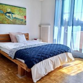 FriHome Cosy, ξενοδοχείο στο Φρίμπουργκ