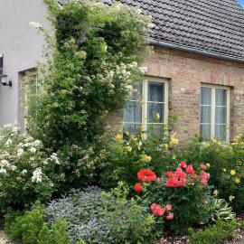 Cottage an der Müritz - großer Garten mit Pool - Außenküche und Grill - Kanus und Fahrräder kostenfrei, hotel u gradu Buchholz
