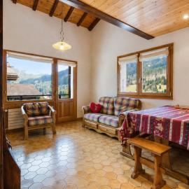 Duplex calme, vue montagne, animaux bienvenus