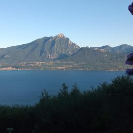 Punta sul Garda, hotel in Torri del Benaco