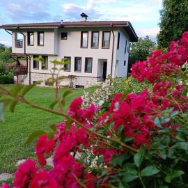 Villa Borika, khách sạn ở Borika