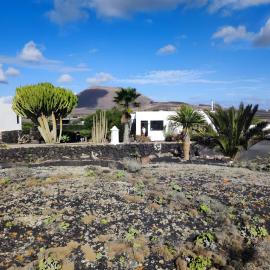 Volcanic Central, hotel a El Islote