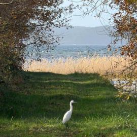 Le Chalet du lac