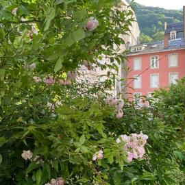 Les Airelles