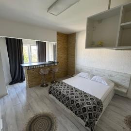 Leyla Studio Ultracentral Pitesti