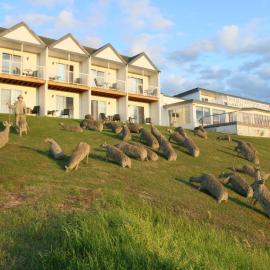 Mon Joli Motel, hotel u gradu Sainte-Flavie