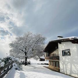 Villa ai noci