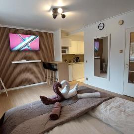 Modern studio apartment near the harbor and city center, hotel in Lappeenranta