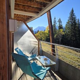 T3 au pied des pistes, hotel en Chamrousse