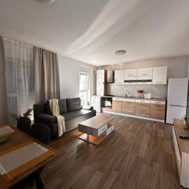 Duplex modern In Dumbravita Curte si parcare privata