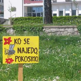 Kotiček & Čatež & Paradiso