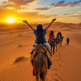 Sahara Desert Apartment with Camel Tours & Free WiFi