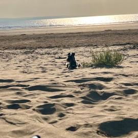 Ocean Drive BOUTIQUE Apartment Adults only Dog friendly, hotel sa Brean