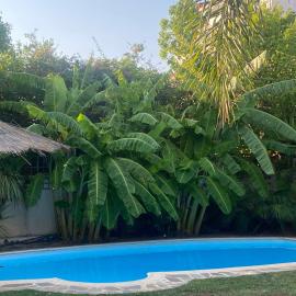 Villa Irena