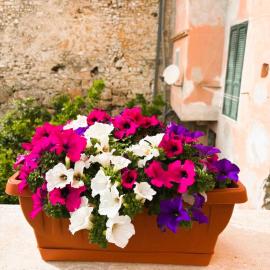 Casa solare al mare