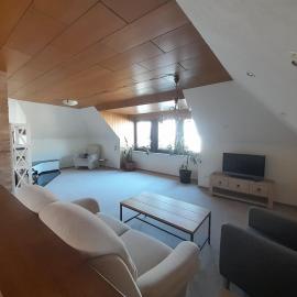 Eichhörnchen, Ferienwohnung