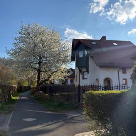 Pokoje Ella