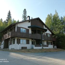 Alppitalo 3 as 3, hotel in Tahkovuori