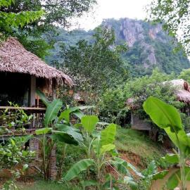 Thái Tâm homestay