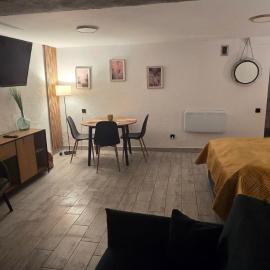 Apartament Nova Kamienica - Studio