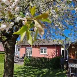Ferienhaus SIGGI