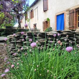 La ferme des grandes oreilles