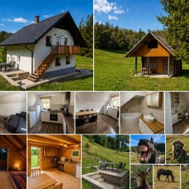 Tourist Farm Pr' Maretč