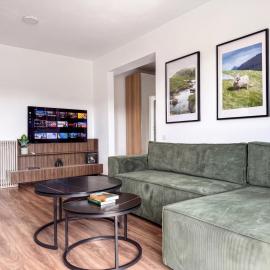 Modern Spacious Mountain View Apt
