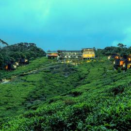 The Rainforest Ecolodge - Sinharaja with Shuttle Service from Car Park, hotel in Deniyaya