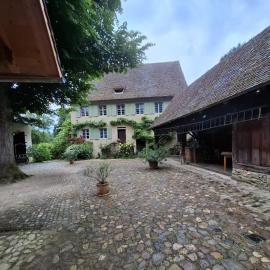 Historische Mühle von Cramm, 7 Apartments, hotel in Ballrechten-Dottingen