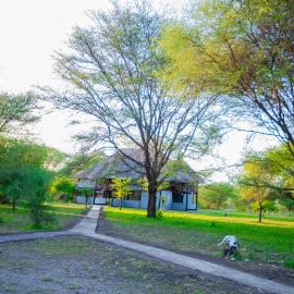 Tembo Tarangire Lodge & Camp, hotel in Madege