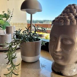 Wander-Appartement im Fichtelgebirge